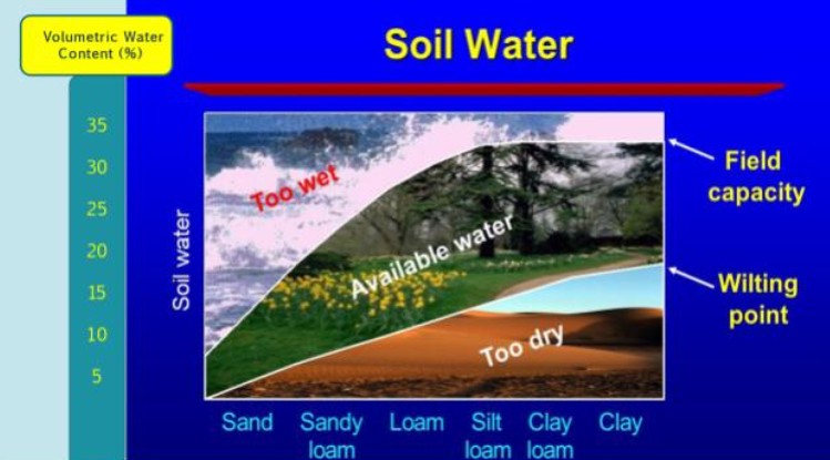 soilwater.jpg